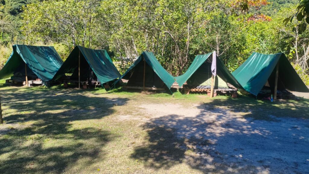 Polícia Ambiental identifica camping irregular em manguezal de Paraty