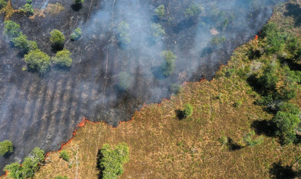 FAS promove debate gratuito sobre caminhos para o desmatamento zero e ação climática na Amazônia nesta quinta