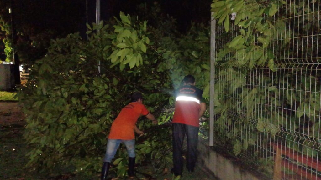 Moradores registram ventania que derrubou árvores em Santana, no Amapá